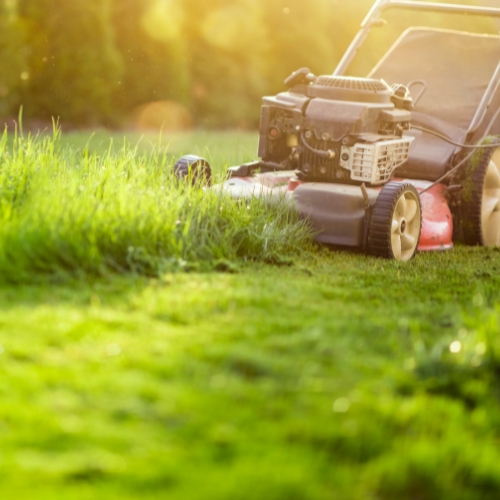 Close-up of a lawn mower cutting through thick, green grass in a sunlit garden