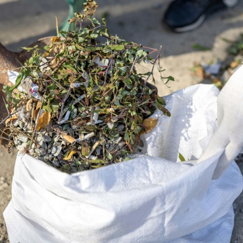 debris clean up by hand in trash bag