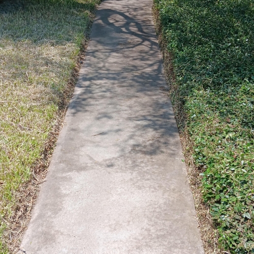 lawn Edging sidewalk, walkway