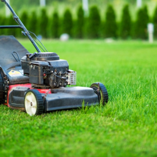 lawn mowing with a lawn mower on the grass