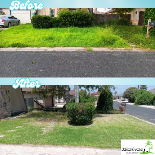 Before and after images of a lawn transformation by Island Cuts Lawn Service, showing a heavily overgrown lawn neatly trimmed to reveal a well-manicured yard