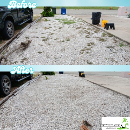 Before and after photos showing a driveway transformation from overgrown with weeds to neatly cleared and maintained