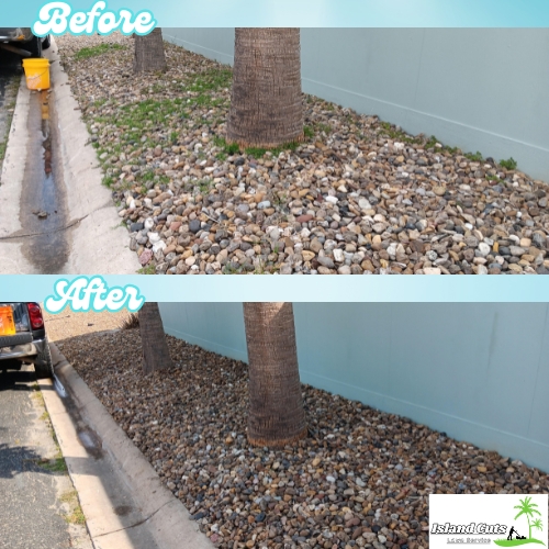 Before and after photos displaying the cleanup of a tree bed area from scattered weeds to neatly arranged rocks around palm trees.